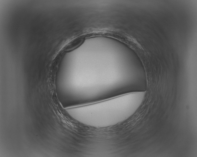 X0000054421256200507290917