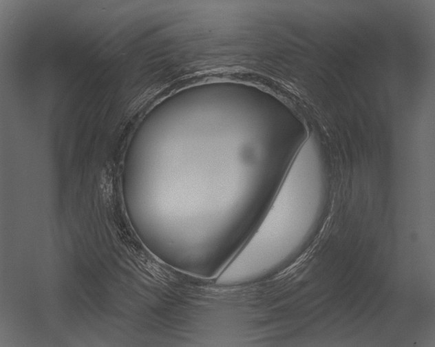 X0000054421257200507290917