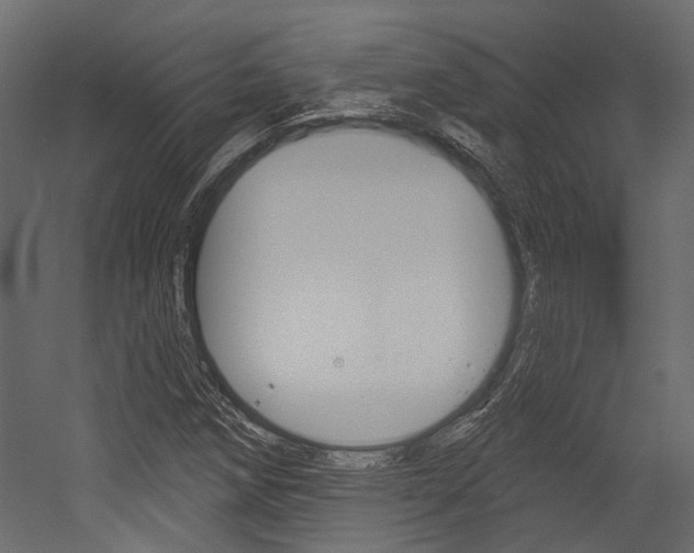 X0000054421258200507290917