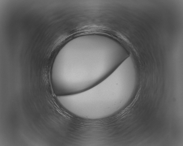X0000054421259200507290917