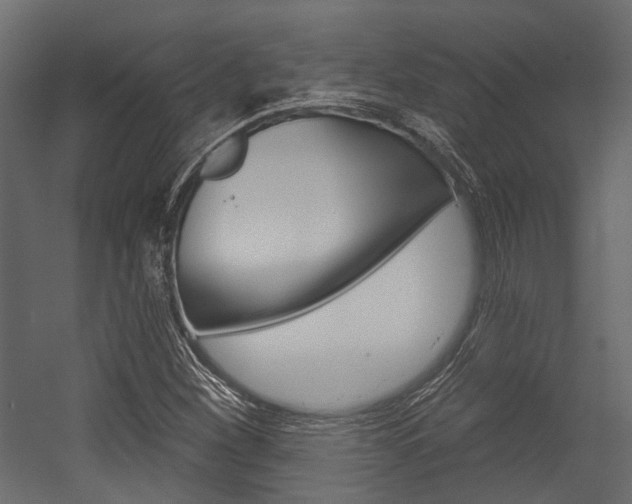 X0000054421260200507290917