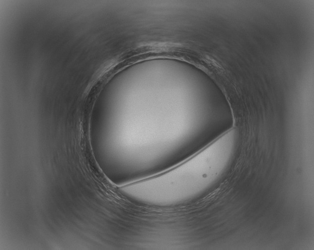 X0000054421261200507290917