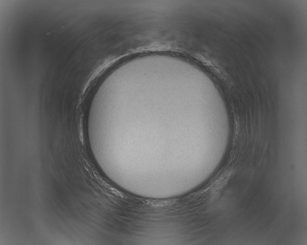 X0000054421262200507290917