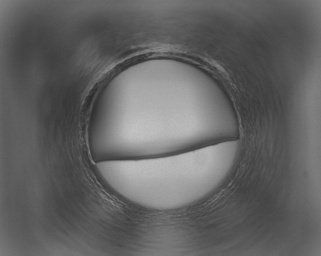 X0000054421263200507290917