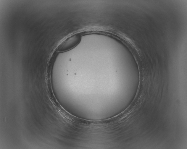 X0000054421264200507290916