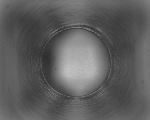 X0000054421265200507290916