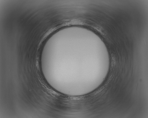 X0000054421266200507290916