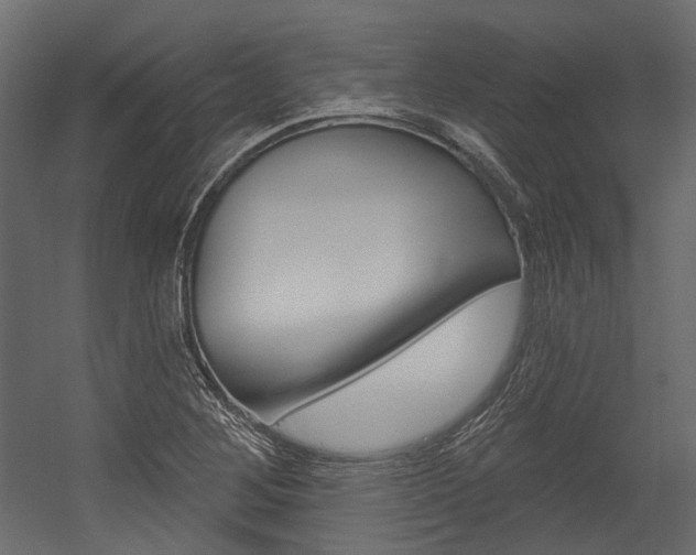 X0000054421268200507290916