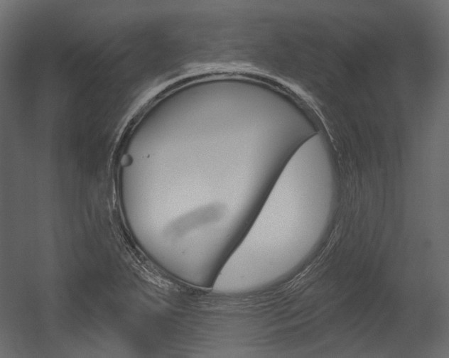 X0000054421271200507290916