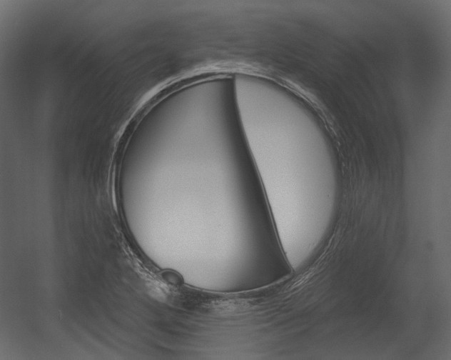 X0000054421272200507290916
