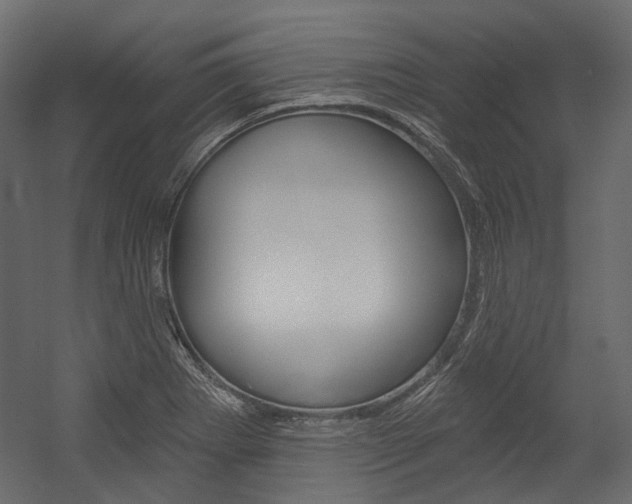 X0000054421273200507290916