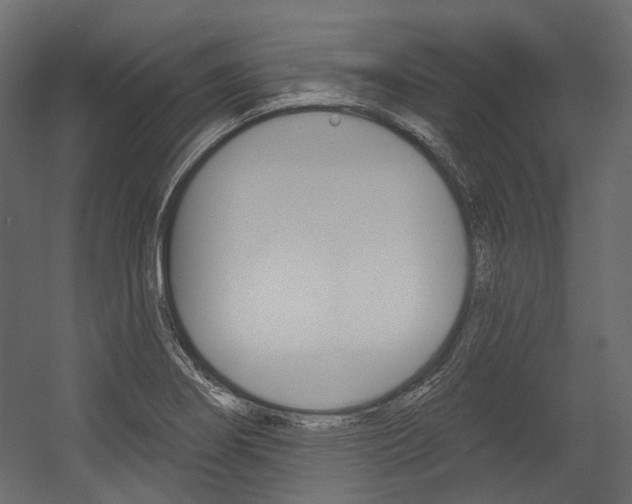 X0000054421274200507290916