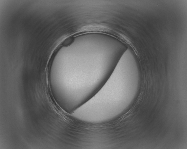 X0000054421275200507290916