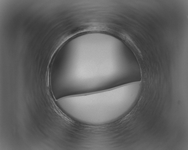 X0000054421276200507290916