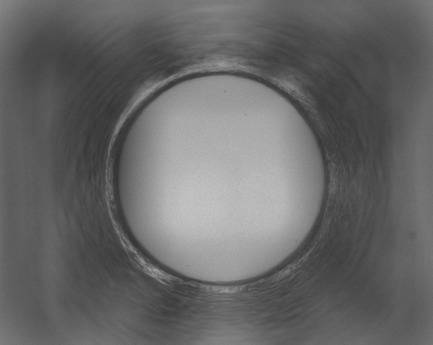 X0000054421278200507290916