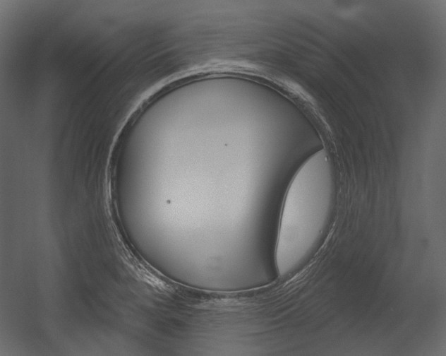 X0000054421280200507290916