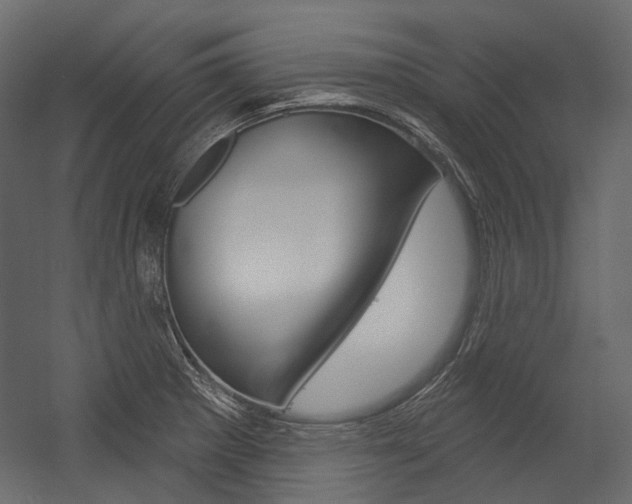 X0000054421281200507290916