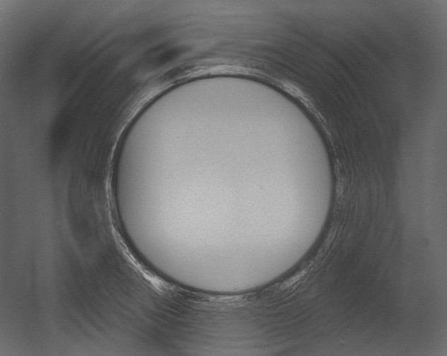 X0000054421282200507290916