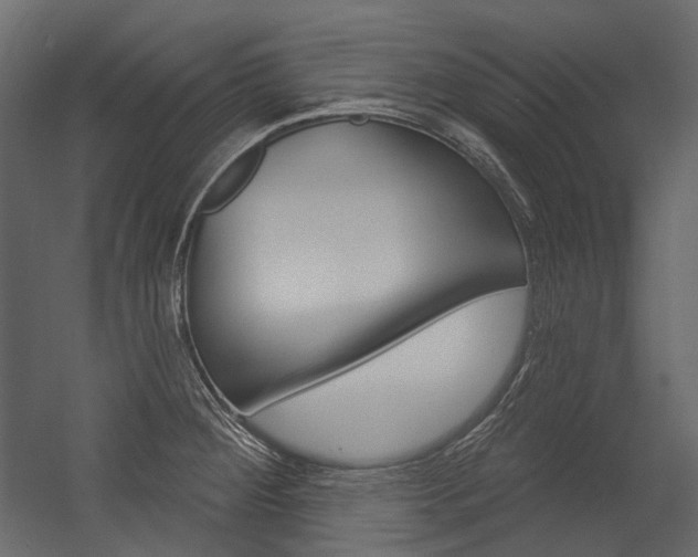 X0000054421284200507290916