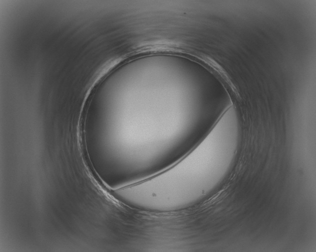 X0000054421285200507290916