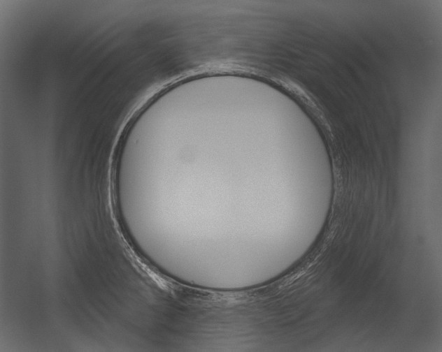 X0000054421286200507290916