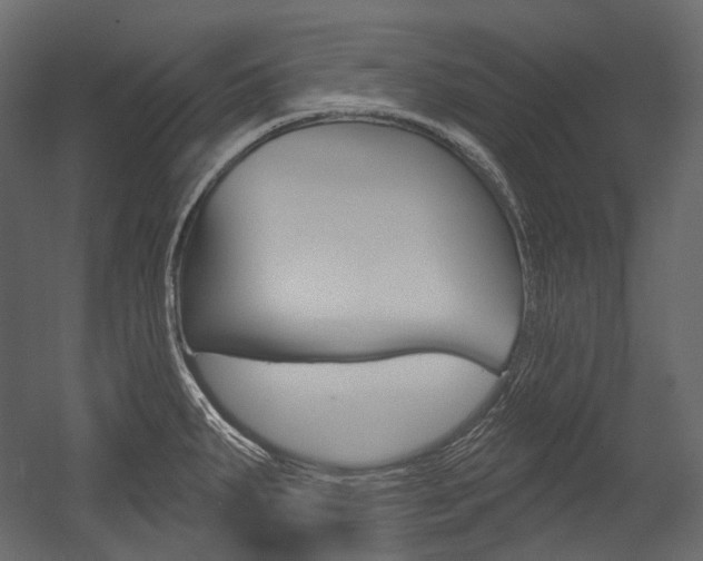X0000054421287200507290916