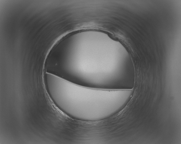 X0000054421288200507290916