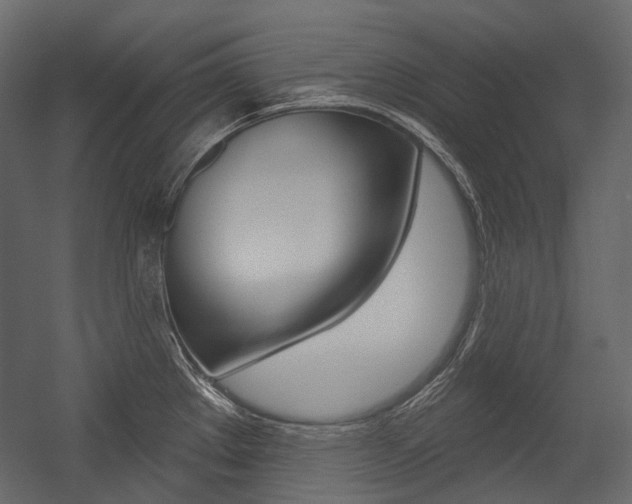 X0000054421289200507290916