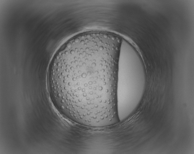X0000054421295200507290916