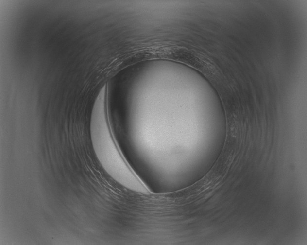 X0000054421298200507290915