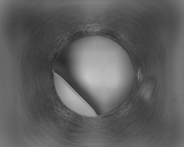 X0000054421299200507290915