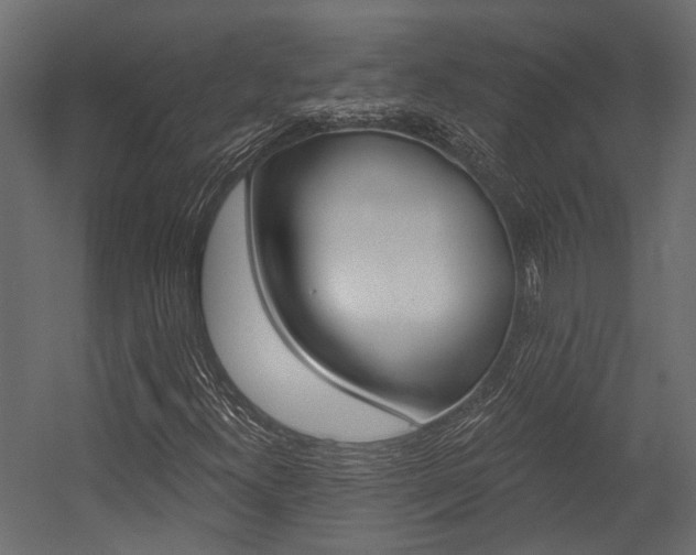 X0000054421300200507290915