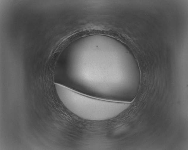 X0000054421303200507290915