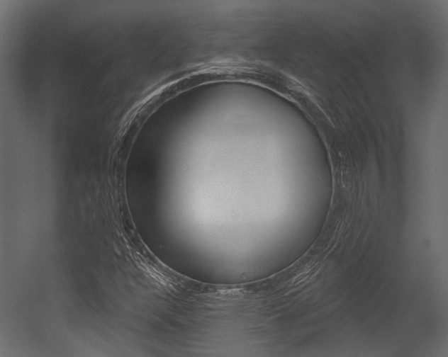 X0000054421304200507290915