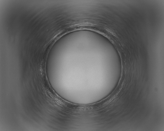 X0000054421305200507290915