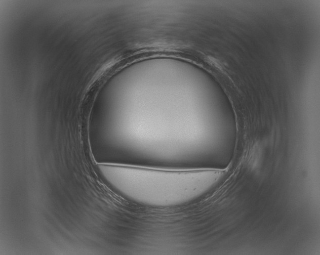 X0000054421307200507290915