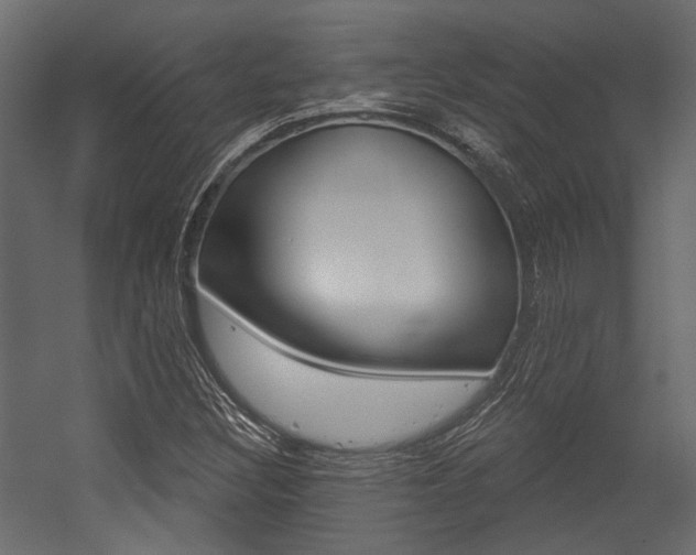 X0000054421308200507290915