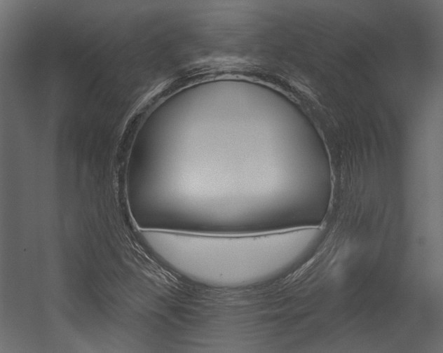 X0000054421309200507290915