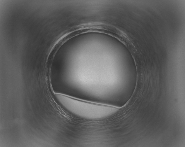X0000054421312200507290915