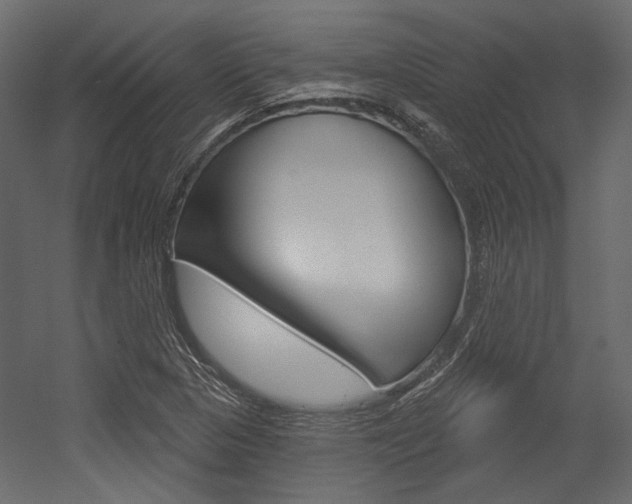 X0000054421313200507290915