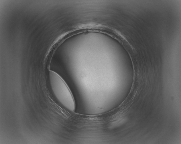 X0000054421315200507290915