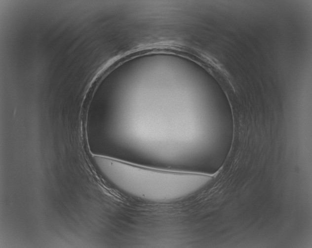 X0000054421316200507290915