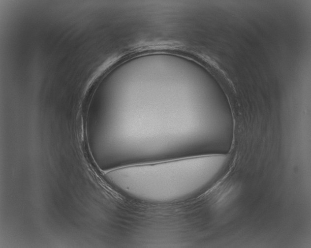 X0000054421317200507290915