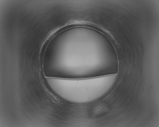 X0000054421319200507290916