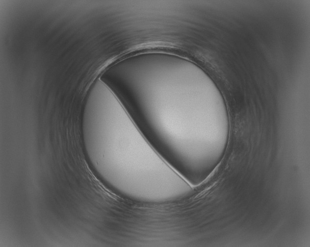X0000054421321200507290916