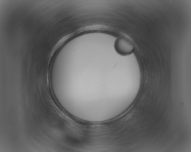X0000054421322200507290916