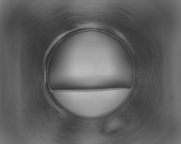 X0000054421323200507290916
