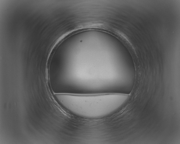 X0000054421324200507290916