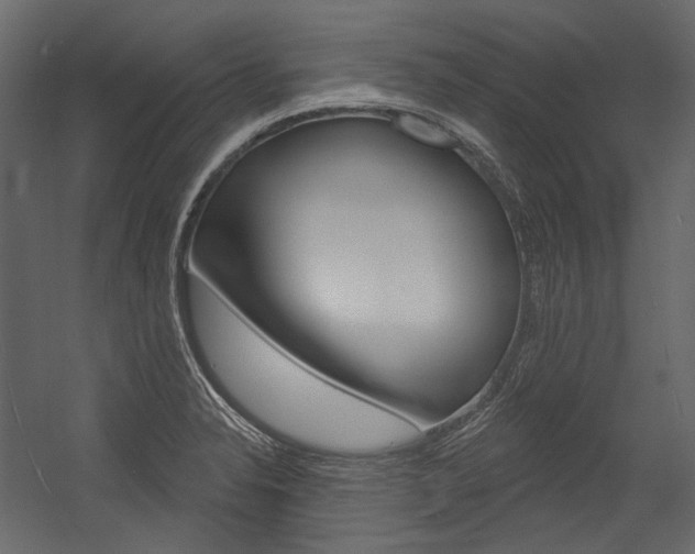X0000054421326200507290916