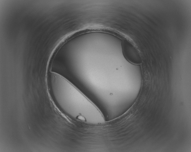X0000054421327200507290916